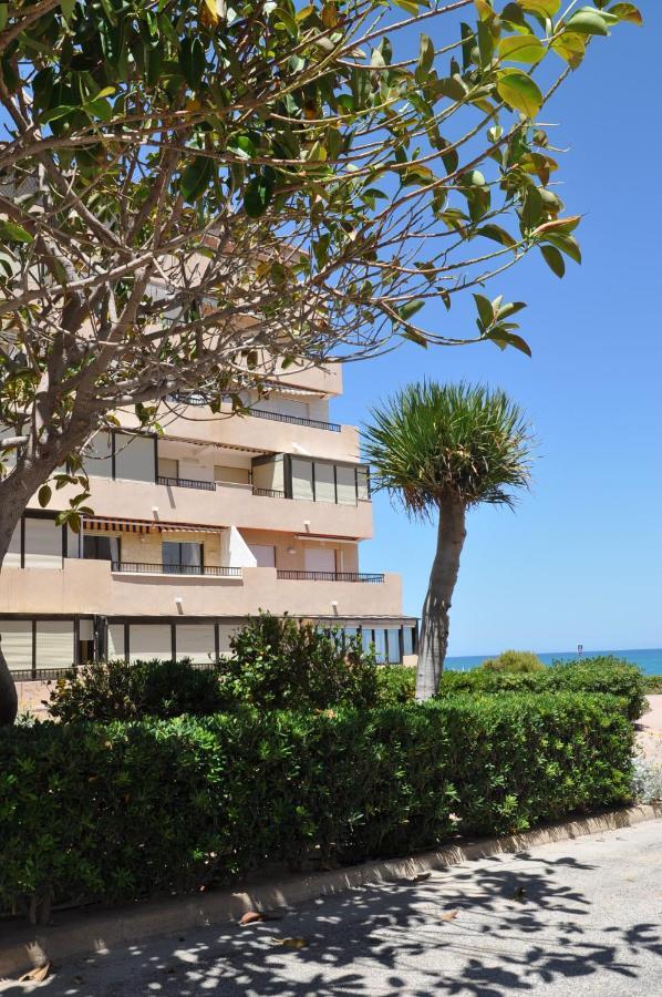Apartamento Soleado Daire Torrevieja Dış mekan fotoğraf